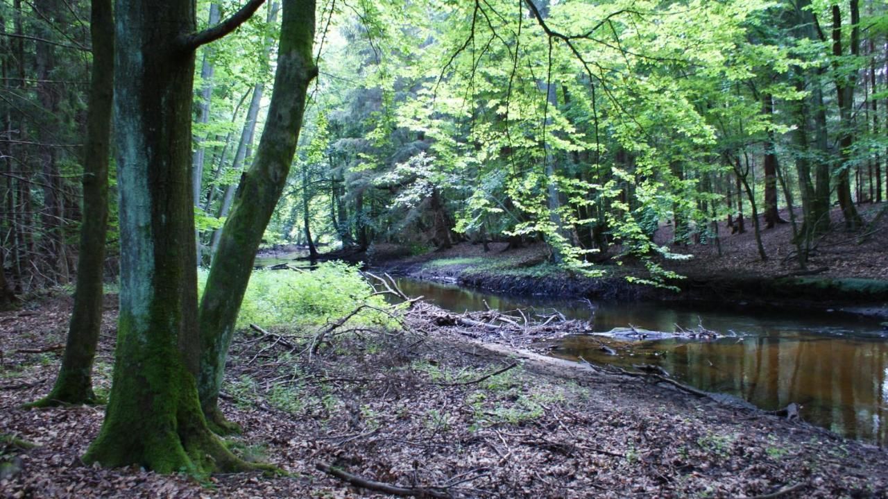 Проживание в семье Tawerna Panorama Stepnica-30